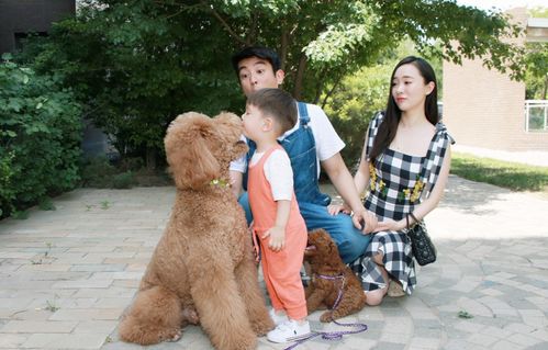 狗狗當“家教” 萌寵叼衣架監督小主人寫作業，神似操心老母親